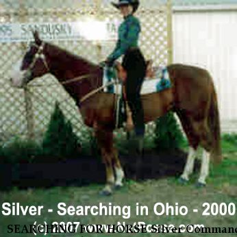 SEARCHING FOR HORSE Silver Command, Near Oak Harbor, OH, 43469