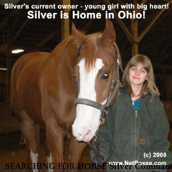 SEARCHING FOR HORSE Silver Command, Near Oak Harbor, OH, 43469