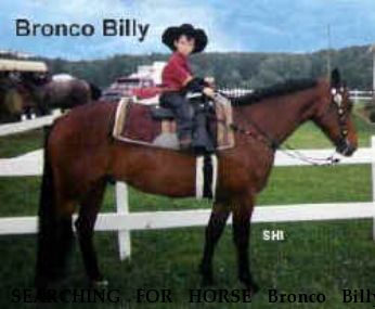 SEARCHING FOR HORSE Bronco Billy, Near BENNETTSVILLE, SC, 00000