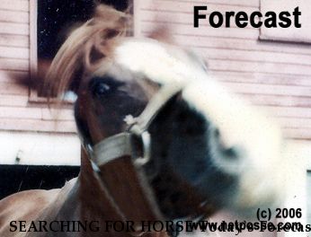 SEARCHING FOR HORSE Today`s Forecast, Near Herndon, VA, 00000