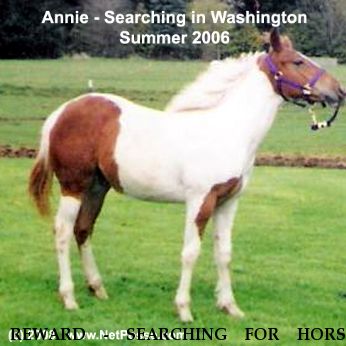 REWARD - SEARCHING FOR HORSE ANNIE, Near Battle Ground , WA, 98682