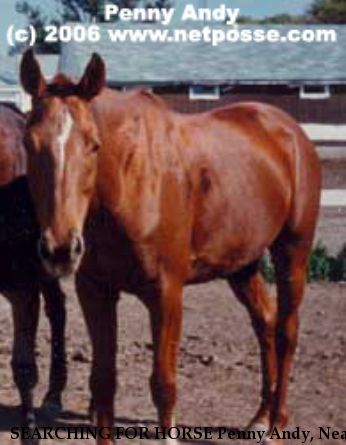 SEARCHING FOR HORSE Penny Andy, Near Mequon, WI, 00000