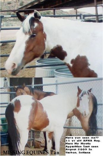 MISSING EQUINES Tan & Mystic, Near Carbon, IN, 47837