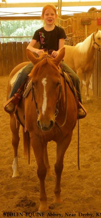 STOLEN EQUINE Abbey, Near Derby, KS, 67037