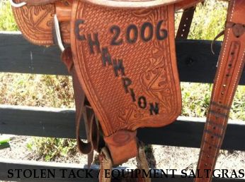 STOLEN TACK / EQUIPMENT SALTGRASS ROPING SADDLE, Near KNOXVILLE, TN, 37914