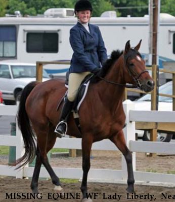 MISSING EQUINE WF Lady Liberty, Near Columbus, GA, 31829