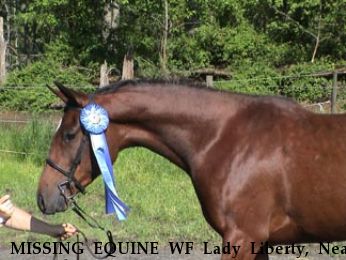 MISSING EQUINE WF Lady Liberty, Near Columbus, GA, 31829