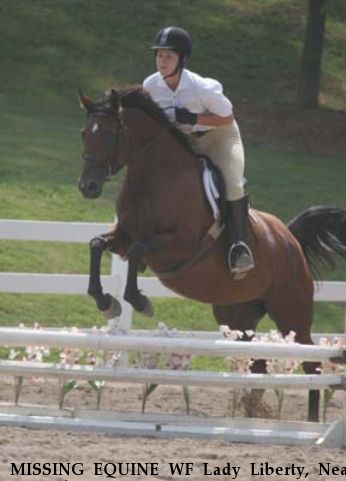 MISSING EQUINE WF Lady Liberty, Near Columbus, GA, 31829