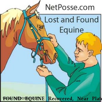 FOUND EQUINE Recovered, Near Plato, MO, 65552