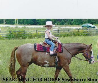 SEARCHING FOR HORSE Strawberry Sioux, Near East Lansing, MI, 00000