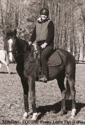 MISSING EQUINE Pretty Little Devil (Ping) and Jake, Near Oak Hall, VA, 23416