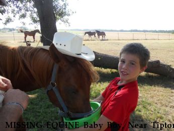 MISSING EQUINE Baby Boy, Near Tipton, OK, 73570