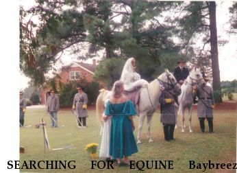 SEARCHING FOR EQUINE Baybreeze Vanity, Near Windsor, VA, 23487