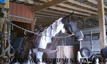 STOLEN TACK / EQUIPMENT: Elkton, Near Elkton, TN, 38455