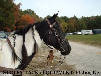 STOLEN TACK / EQUIPMENT: Elkton, Near Elkton, TN, 38455