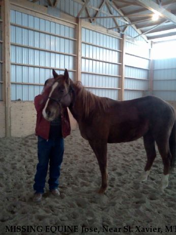 MISSING EQUINE Jose, Near St. Xavier, MT, 59101