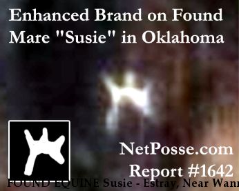 FOUND EQUINE Susie - Estray, Near Wann, OK, 74048