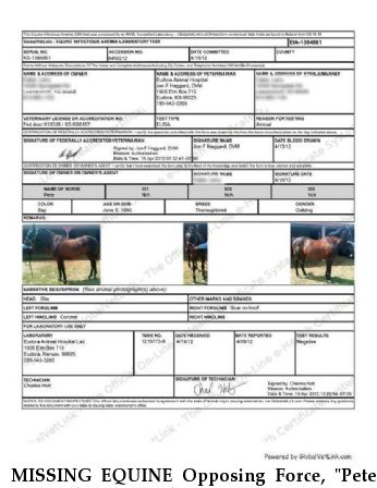 MISSING EQUINE Opposing Force, "Pete", Near ft leavenworth, KS, 66027