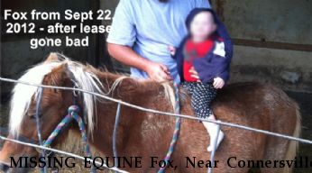 MISSING EQUINE Fox, Near Connersville, IN, 47331