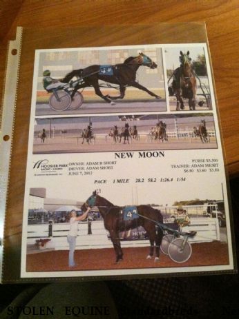 STOLEN EQUINE Standardbreds - New Moon and Oat Matt McDonald Near Wauseon, OH, 43567