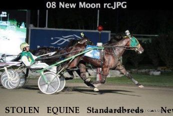 STOLEN EQUINE Standardbreds - New Moon and Oat Matt McDonald Near Wauseon, OH, 43567