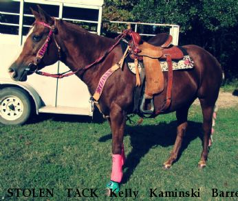 STOLEN TACK Kelly Kaminski Barrel Saddle, Near Richlands, NC, 28518