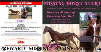 REWARD MISSING EQUINE Fiona, Lost after Coyote Attack Near Creston, NC, 28615