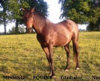 MISSING EQUINE Gladiator, Near Hartsville, TN, 37074