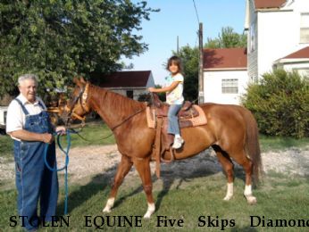 STOLEN EQUINE Five Skips Diamond, Reward Near Archie, MO, 64725