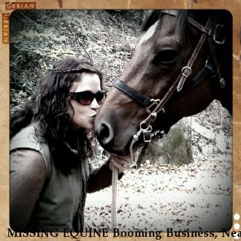 MISSING EQUINE Booming Business, Near Normandy, TN, 37360