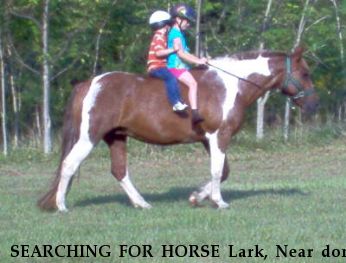 SEARCHING FOR HORSE Lark, Near dont know, VA, 23093