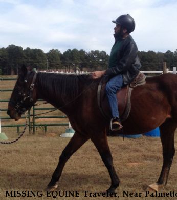 MISSING EQUINE Traveler, Near Palmetto, GA, 30277