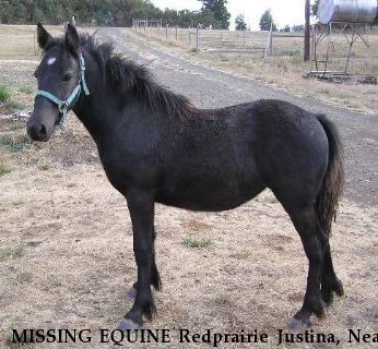 MISSING EQUINE Redprairie Justina, Near Denham Springs, LA, 70706