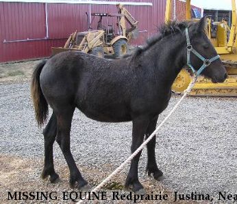 MISSING EQUINE Redprairie Justina, Near Denham Springs, LA, 70706