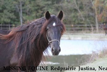 MISSING EQUINE Redprairie Justina, Near Denham Springs, LA, 70706