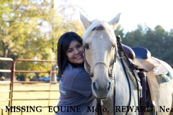 MISSING EQUINE Mojo, REWARD Near Downsville, LA, 71241