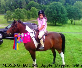 MISSING EQUINE Apple Dapple, Glitter and Flippy REWARD Near Middleburg, VA, 20117