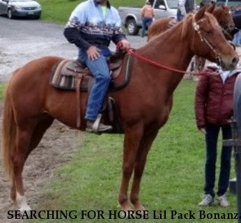 SEARCHING FOR HORSE Lil Pack Bonanza, Near schoharie, NY, 12157