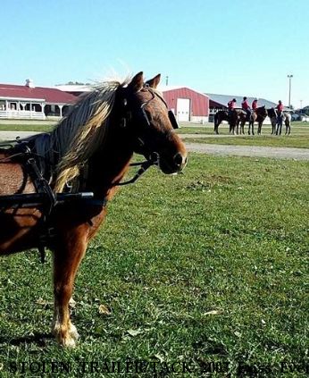 STOLEN TRAILER/TACK 2003 Exiss Event 2H, Near Lake Geneva, WI, 53147