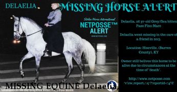 MISSING EQUINE Delaelia, Near Hiseville, , KY, 42141