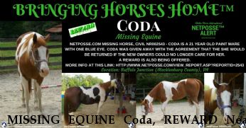 MISSING EQUINE Coda, REWARD Near Buffalo Junction, VA, 24529