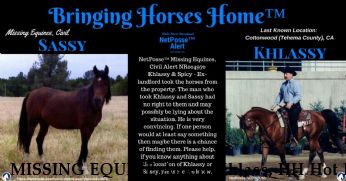 MISSING EQUINE Ameri Khlass, HH Hot N Spicy, REWARD  Near Cottonwood, CA, 96022