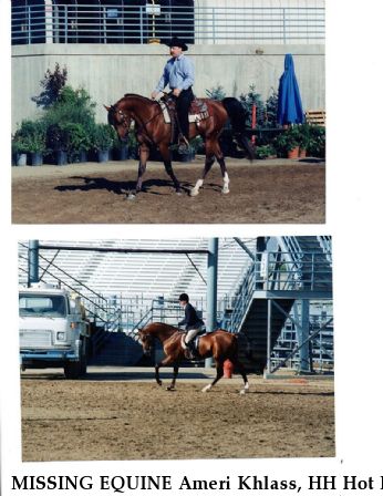 MISSING EQUINE Ameri Khlass, HH Hot N Spicy, REWARD  Near Cottonwood, CA, 96022