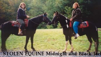 STOLEN EQUINE Midnight and Black Jack, RECOVERED 2002  Near Waynesville, OH, 45068