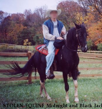 STOLEN EQUINE Midnight and Black Jack, RECOVERED 2002  Near Waynesville, OH, 45068