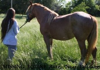 MISSING EQUINE Rose,  Near LaGrange, GA, 30241