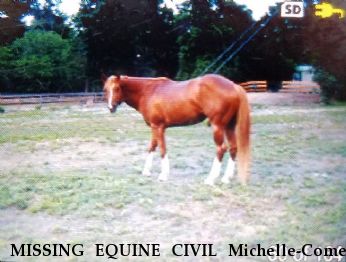 MISSING EQUINE CIVIL Michelle-Comet  Near ansonia, CT, 06401