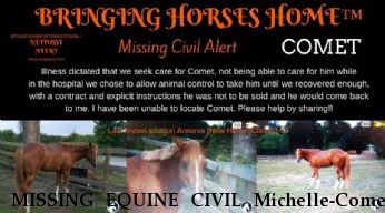 MISSING EQUINE CIVIL Michelle-Comet  Near ansonia, CT, 06401