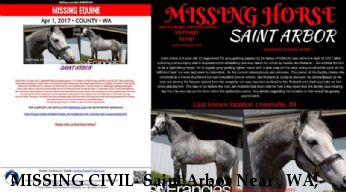 MISSING CIVIL- Saint Arbor Near , WA, 