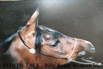 STOLEN TACK - Billy Royal Western Show Saddle and other Tack Near Norman, OK, 73026